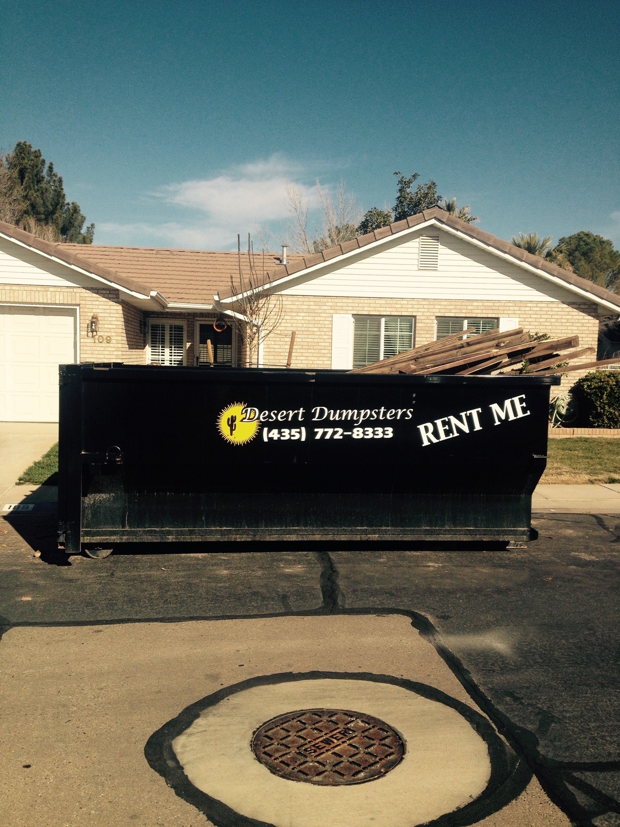 Sunny Desert Dumpsters — photo 1